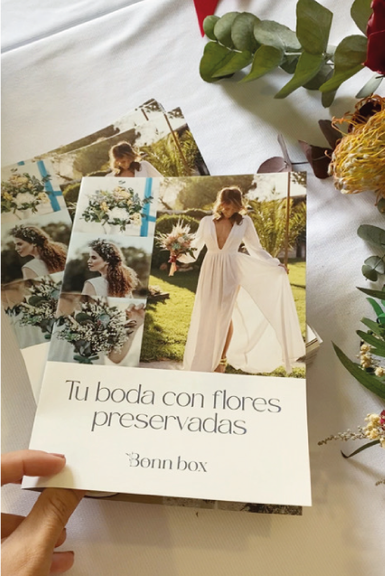 Folleto promocional