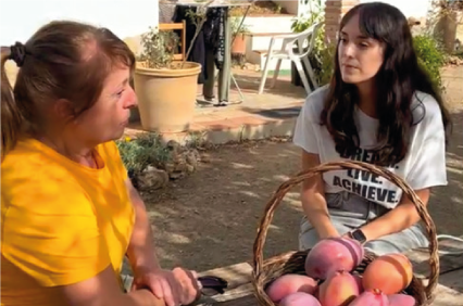 Logística proyecto fruta online